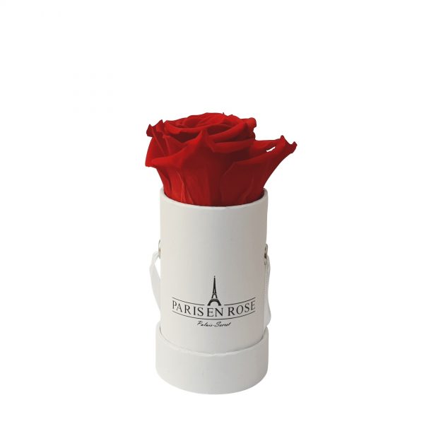 Flowerbox mit 1 konservierter Rose