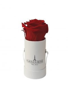 Flowerbox mit 1 konservierter Rose