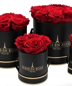 Bordeaux Rosen