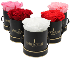 Rosenboxen von Paris en Rose
